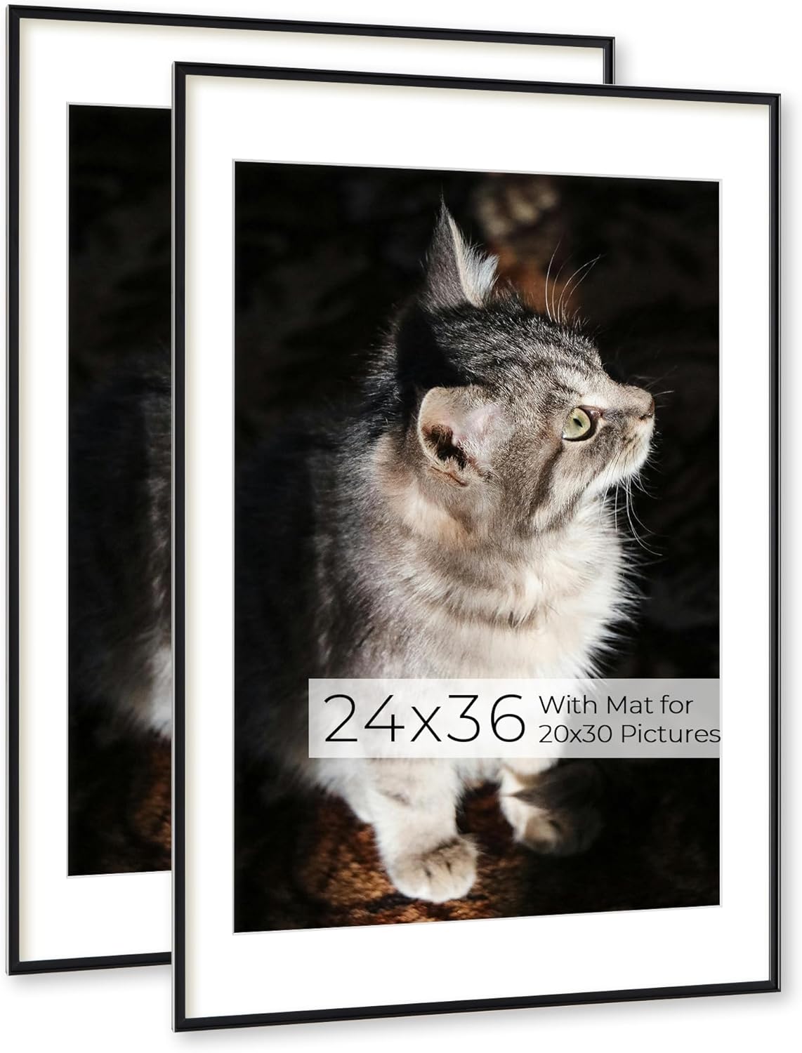 RICHFOCUS Aluminum Picture Frame - 24x36 Black Metal Frame with Mat for 20x30 Photo, Floating Frame with Tempered Glass - Poster Frame Wall Hook Included for Gallery Wall, Set of 2
