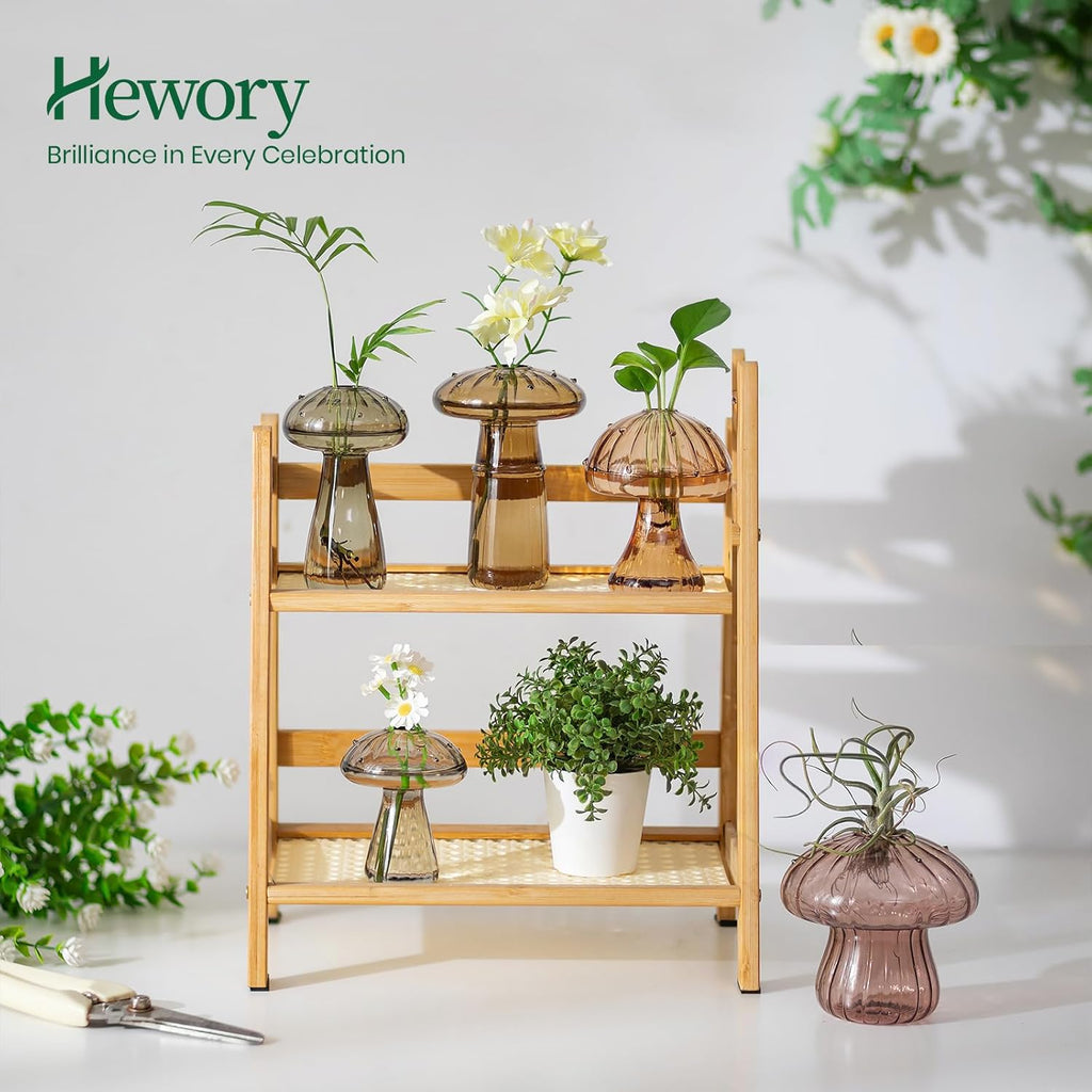 Hewory Glass Mushroom Propagation Stations: Set of 10 Unique Propagation Jars Glass Planter for Indoor Plants Home Decor - Amber Mushroom Vase Christmas Birthday Gifts for Plant Lovers Women Girls