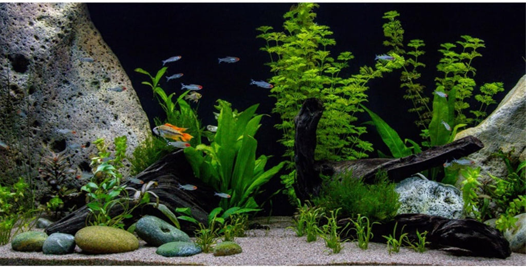 AWERT Vinyl Underwater Aquatic Plant Fish Tank Background Stone River Bed & Lake Aquarium Background 72x24 inches