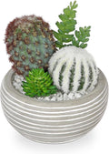 Artificial Cactus Plants Indoor, 5.5" Assorted Small Faux Succulent in Pots Fake Potted Desk Plant with Concrete Bowl Mini Succulents Artificial Cactus Decor for Home Office Bathroom Table Shelf