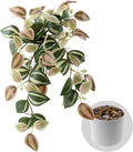 Fake Plants Indoor Artificial Hanging Plants with Pot, Potted Silk Greenery Faux Watermelon Peperomia Ivy Draping Plant for Home Office Desk Living Room Bedroom Wall Shelf Decor (Green, Light Pink)