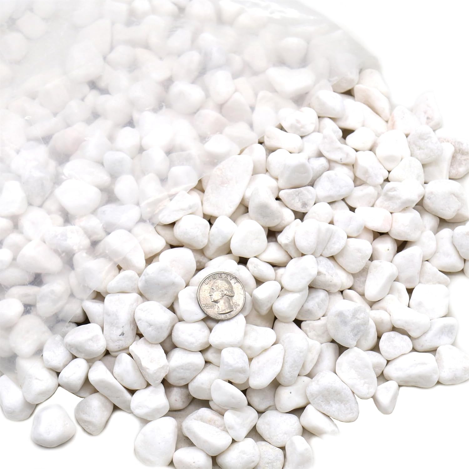 Rocks for Plants. White Decorative Pebbles. 0.5 to 1 Inch 18 lbs. for Garden, Landscaping, Indoor, Vase fillers, Crafting, Succulents, pots, Plants