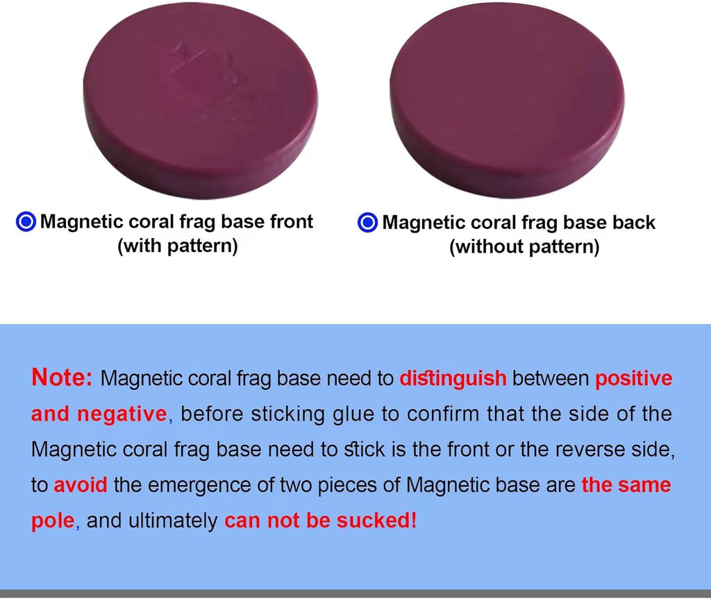 Coral Frag Magnetic Base and Plugs - Waterproof, Purple, Round 10-Piece Set