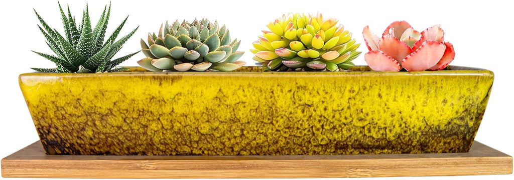ARTKETTY Succulent Pots, 9.8 Inch Ceramic Succulent Planters with Drainage Small Bonsai Pot with Bamboo Tray, Mini Cactus Flower Planter Pot Shallow Rectangular Window Planters for Indoor Plants