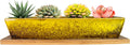 ARTKETTY Succulent Pots, 9.8 Inch Ceramic Succulent Planters with Drainage Small Bonsai Pot with Bamboo Tray, Mini Cactus Flower Planter Pot Shallow Rectangular Window Planters for Indoor Plants