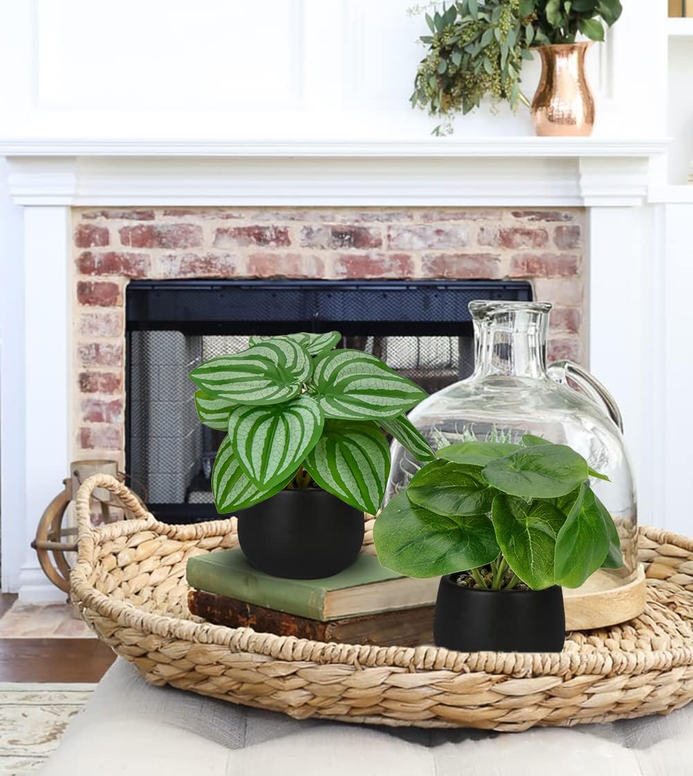 Briful 3PCS Fake Plants Potted Artificial Plants Mini Faux Plants in Black Ceramic Pots Greenery Décor for Home Office Table Room Farmhouse Indoor Decoration