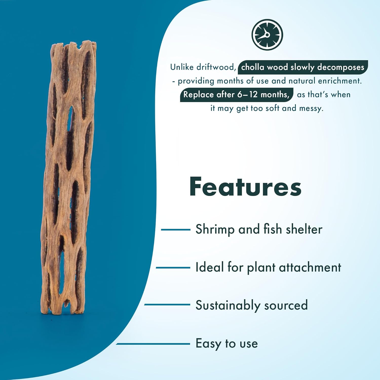 SubstrateSource Natural Cholla Wood - Driftwood for Aquariums, Air Plant Base, Hermit Crab and Freshwater Shrimp Hideout, Fish Tank Decoration, Chinchilla Chews, Reptile Habitat Wood - 6 Inch, 2pc