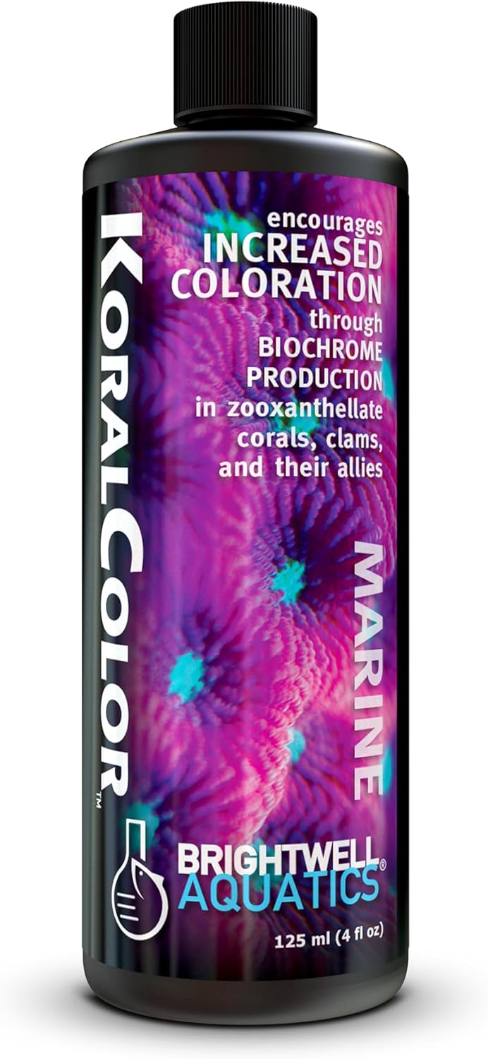 Brightwell Aquatics KoralColor – Coral Pigment Enhancer for Vibrant Reef Colors – Supports Zooxanthellae Biochrome Formation – Professional-Grade Trace Elements, 125 ml