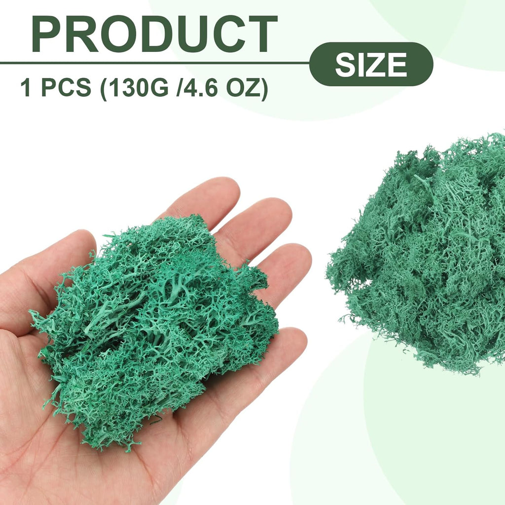 MECCANIXITY 4.6oz Preserved Reindeer Moss, Cyan Decorative Artificial Fake Moss for Potted Plants Indoor Crafts Lichen Centerpieces Decor