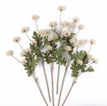 mizii 6Pcs Beige Fake Silk Pompon Mum Artificial Flowers Bulk Small Faux Chrysanthemums with Stems Realistic Floral Decorations for Wedding DIY Bouquet Centerpieces Shower Vase Home Decor (Beige)