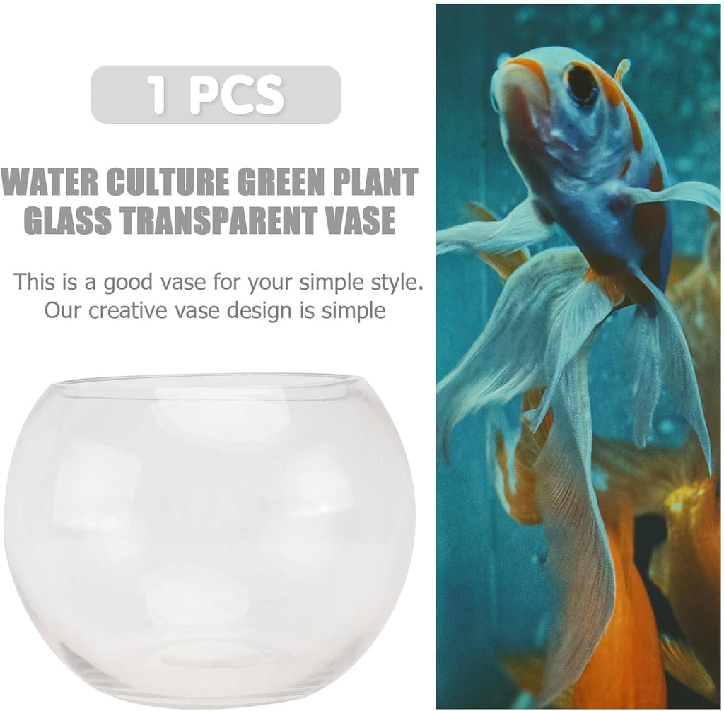 Transparent Glass Hydroponics Vase Smooth Rounded Plant Holder Terrarium Bowl for Home Office Hotel Decorative Floral Planter