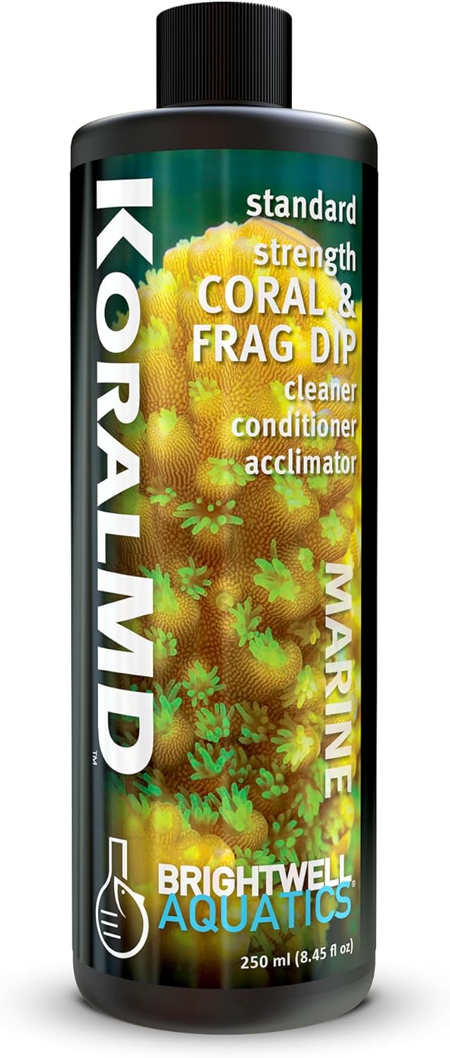Brightwell Aquatics Koral MD Coral Dip – Plant-Based Cleaner and Conditioner for SPS LPS Soft Corals Zoanthids Anemones – Prevents Unwanted Substance Transfer, 250 ml