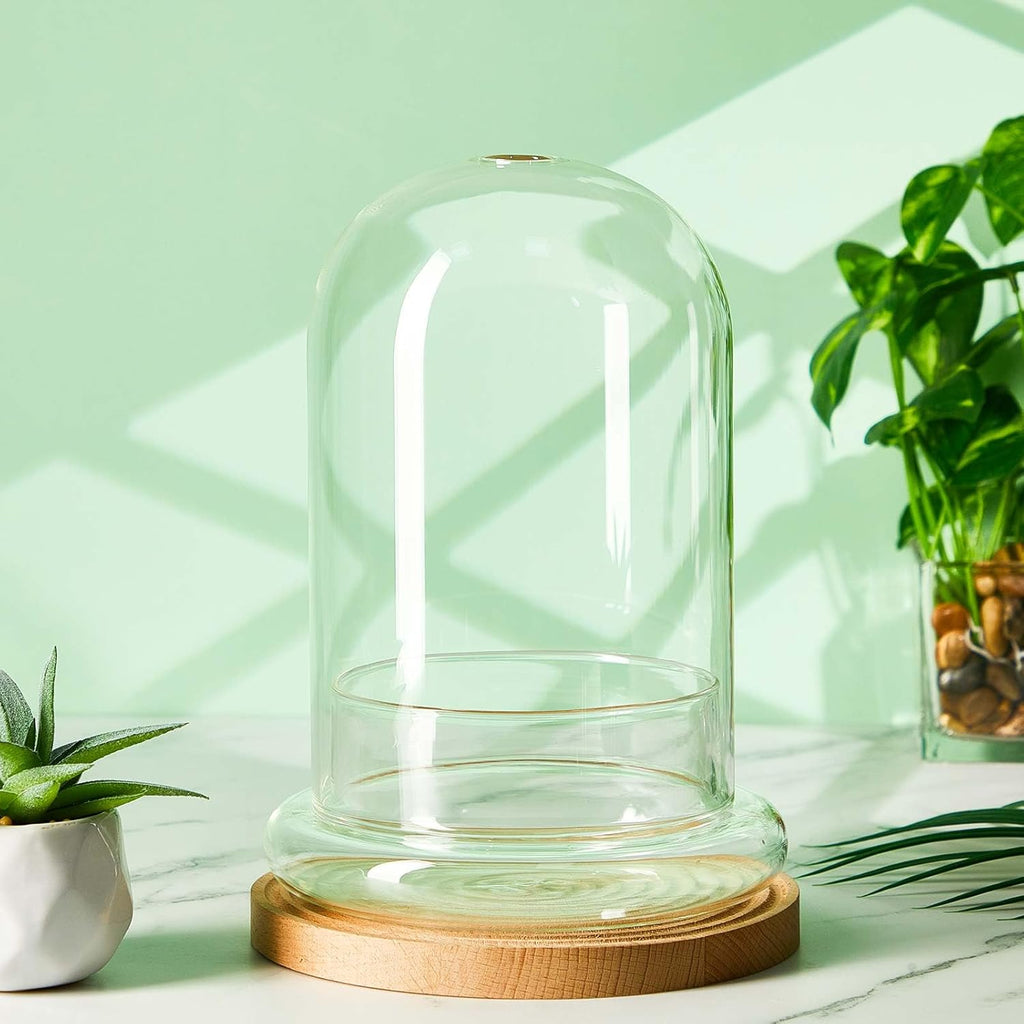 2 Pcs 5.9 x 7.9 Inch Glass Terrarium Clear Terrarium Planter Container Glass Dome Cloche with Airhole and Base for Plant Flower Home Tabletop Display Centerpiece, Plants Not Included