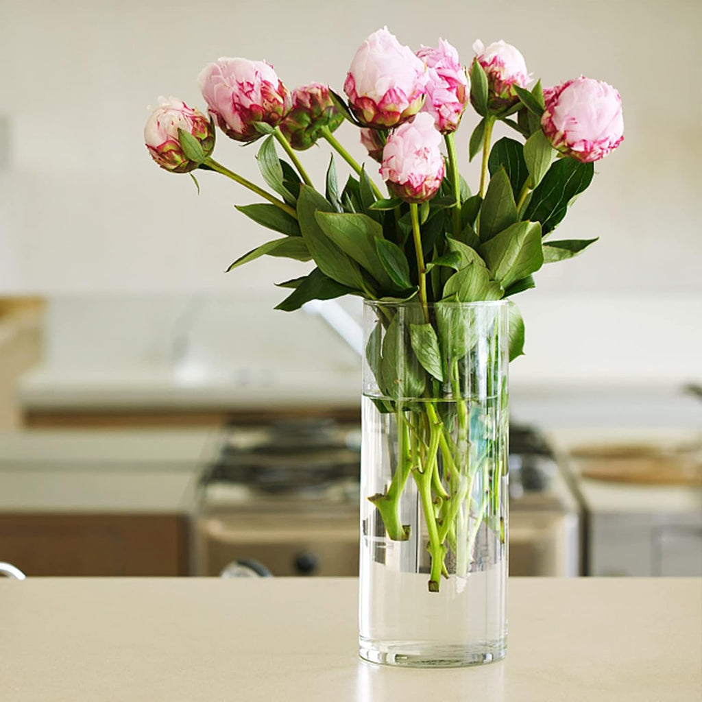 10 Inch Tall Cylinder Vases,Set of 3 Glass Vase for Centerpieces,Clear Flower Vase Decorative Floral Vase for Home Decor,Candle Holder,Wedding Favors(4" W X 10" H)