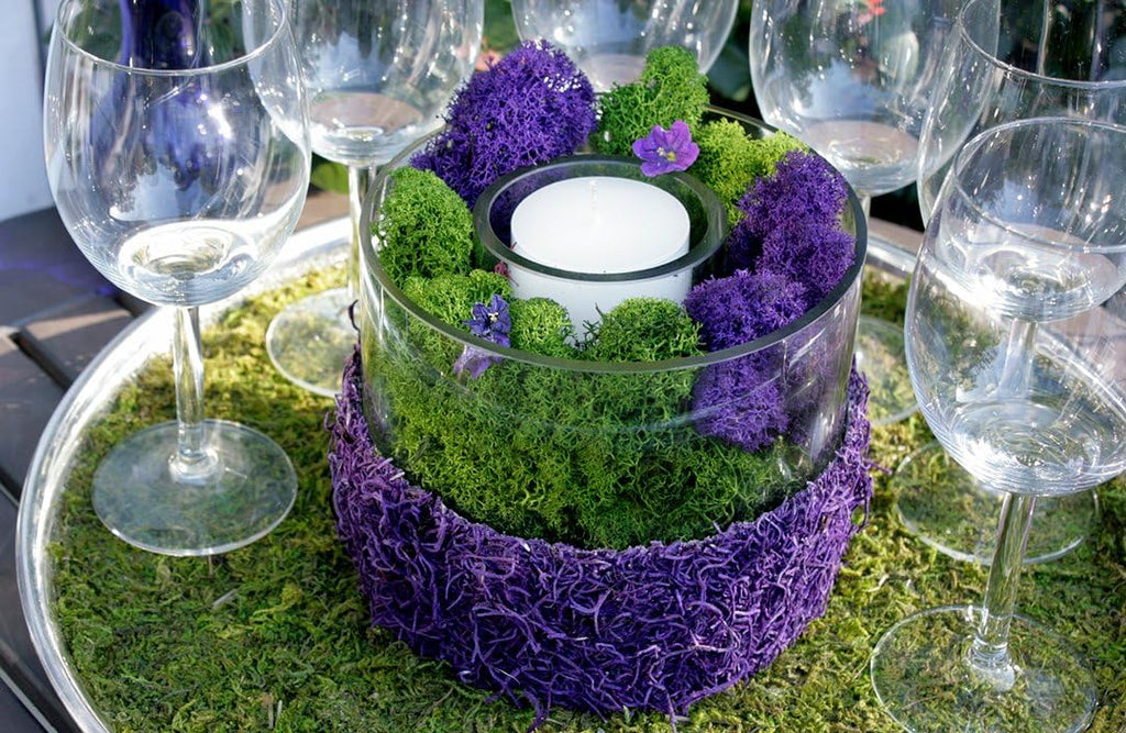 Super Moss (25145) Reindeer Moss Preserved, Purple, 3lbs