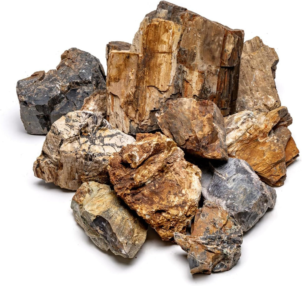 SubstrateSource Natural Stone for Aquarium, Terrarium, Paludarium, Reptile Enclosures - Set of Decorative Rocks for Landcapes, Aquascaping, Fish Tank Decor (Petrified Wood Stone, 20 Pounds, 2-7")