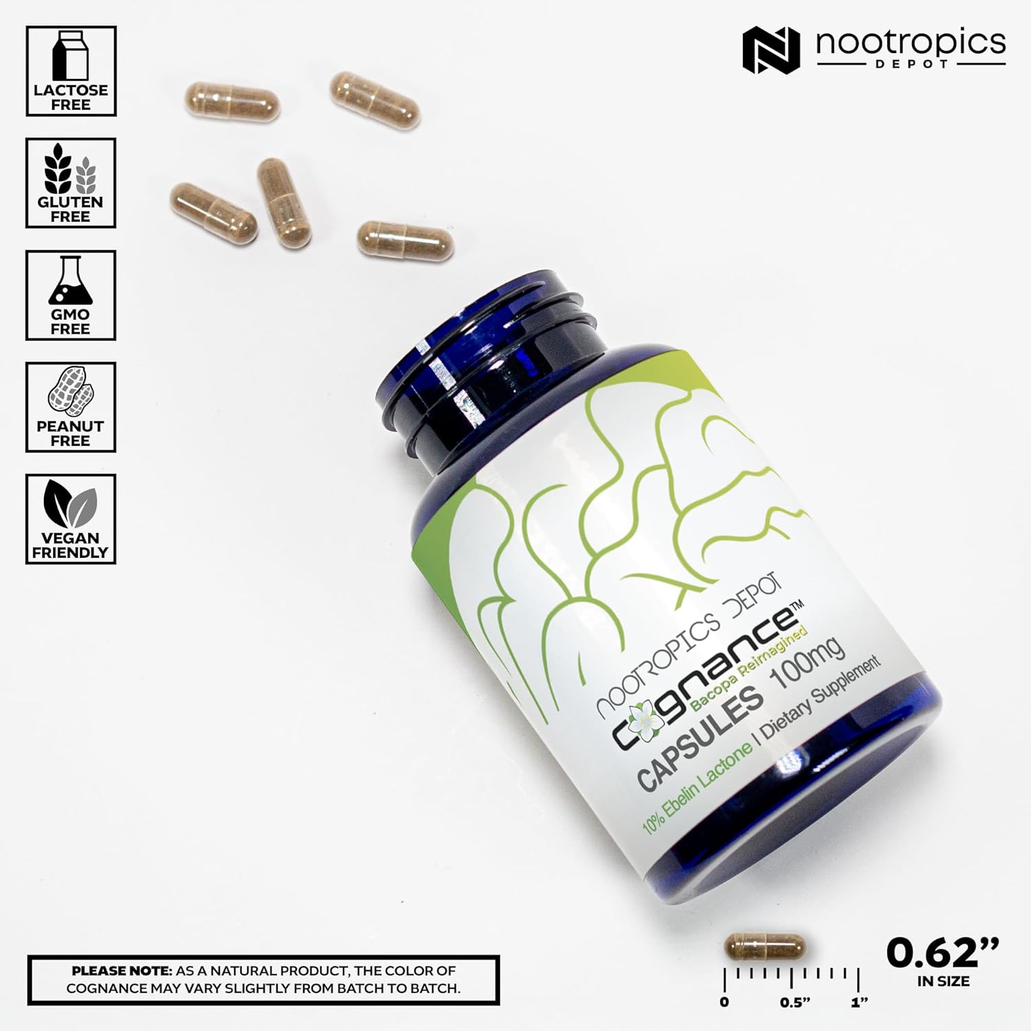 Nootropics Depot Cognance Enhanced Bacopa Capsules | 100mg | 10% Ebelin Lactone | Bacopa monnieri | Mood, Memory, & 5-HT2A Activation, 180 Count (Pack of 1)