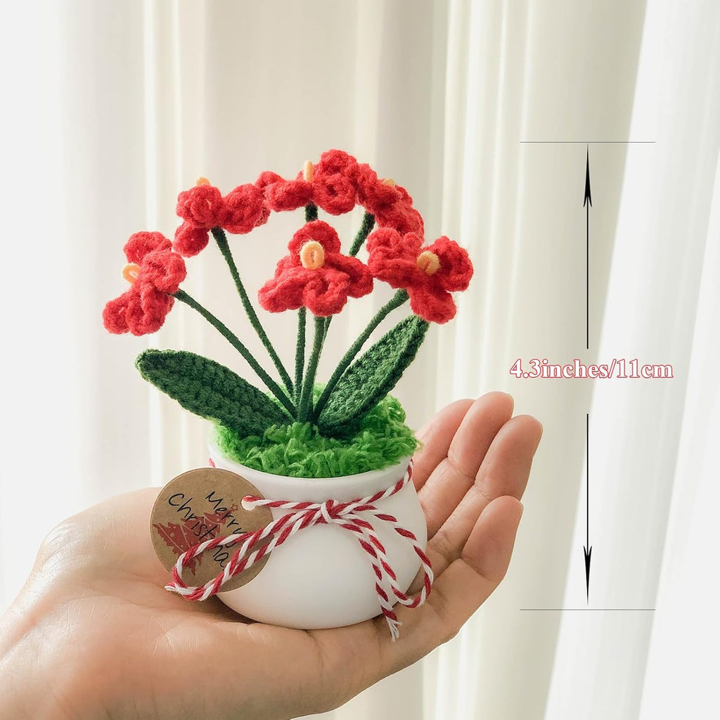 Crochet Flowers Cute Little Potted Flower, Christmas Decor, Birthday Gifts for Women, Mother's Day, Teacher’s Day, Graduation, Anniversary, Home Office Decoration (Red Myosotis)