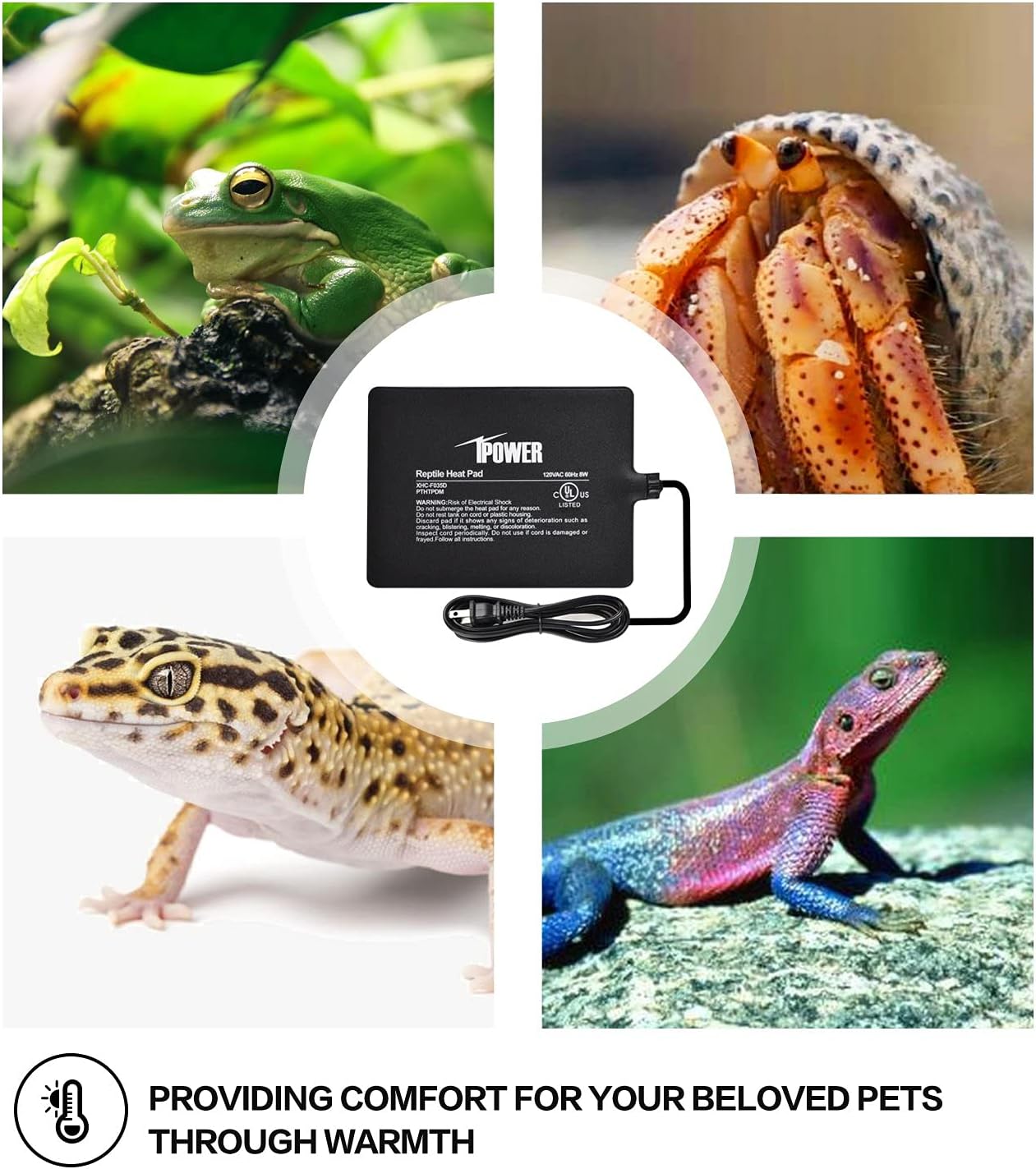 iPower 6X8 Inch Reptile Heat Pad Under Tank Heater Terrarium Warmer Heating Mat and Digital Thermostat Controller for Turtles Lizards Frogs and Other Small Animals