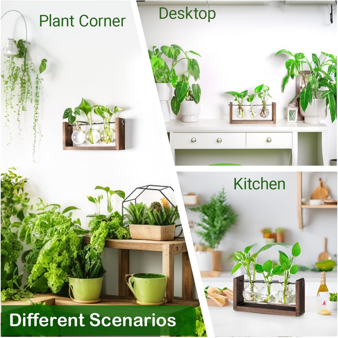 Propagation Station, Plants Terrarium, Plants Lover Gifts for Women,Plant Cutting Holder Home décor,Gifts for Women,House Warming New Home-3 Bulbs-Mounted