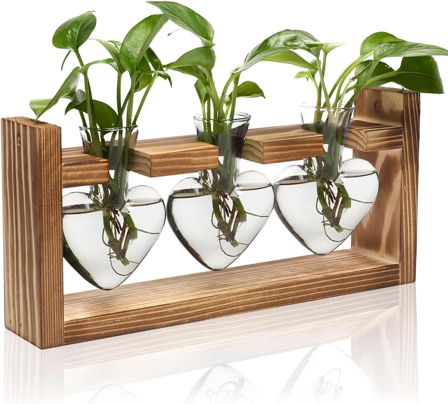 Plant Propagation Station, Plant Terrarium with Wooden Stand, Tabletop Glass Planter Desktop Plants Propagation Vase for Hydroponics Plants - 3 Heart Shaped Vases