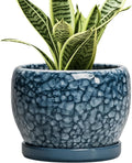 SQOWL Ceramic Pots for Plants - 6 Inch Plant Pot Indoor Outdoor, Ceramic Planter with Drainage Hole and Saucer, Decorative Round Planter, Small Flower Pot, Table Decor, Gifts for Plant Lovers, Blue