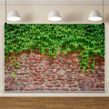 ChloropLastid 6x4ft Rustic Rock Brick Wall Backdrop Retro Stone Wall with Green Leaves Vine Photography Background Wedding Birthday Party Decor Banner Adult Kids Portrait Photoshoot Studio Props