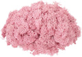 MECCANIXITY 4.6oz Preserved Reindeer Moss, Pink Decorative Artificial Fake Moss for Potted Plants Indoor Crafts Lichen Centerpieces Decor
