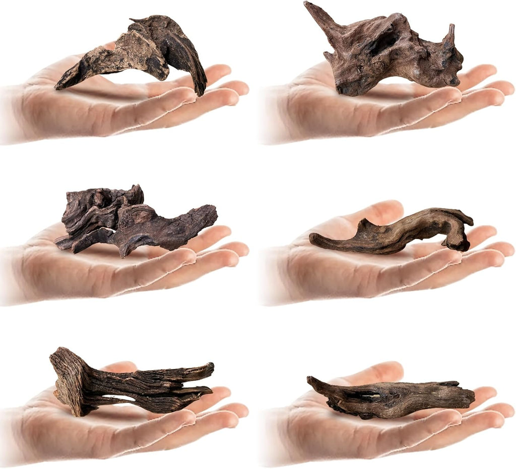 Tfwadmx Natural Small Coral Driftwood for Aquarium Decor 6 Pcs 4-6" Fish Tank Decorations Reptile Decor Assorted Driftwood Branch Reptile Tank Wood Decor