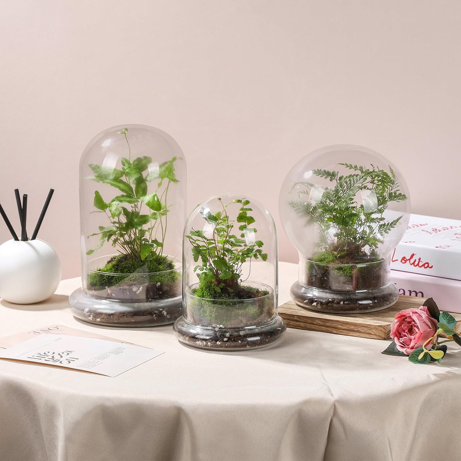 WHJY 8 inches Glass Cloche for Indoor Plants Small Terrarium Glass Cloche with Base Mini Cloche Dome with Base for Display Home Decor