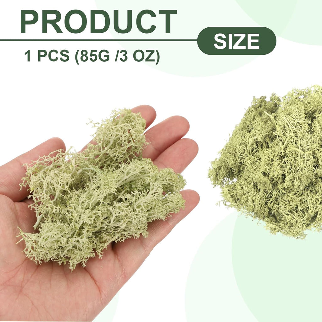 MECCANIXITY 3oz Preserved Reindeer Moss, Light Bright Green Decorative Artificial Fake Moss for Potted Plants Indoor Crafts Lichen Centerpieces Decor