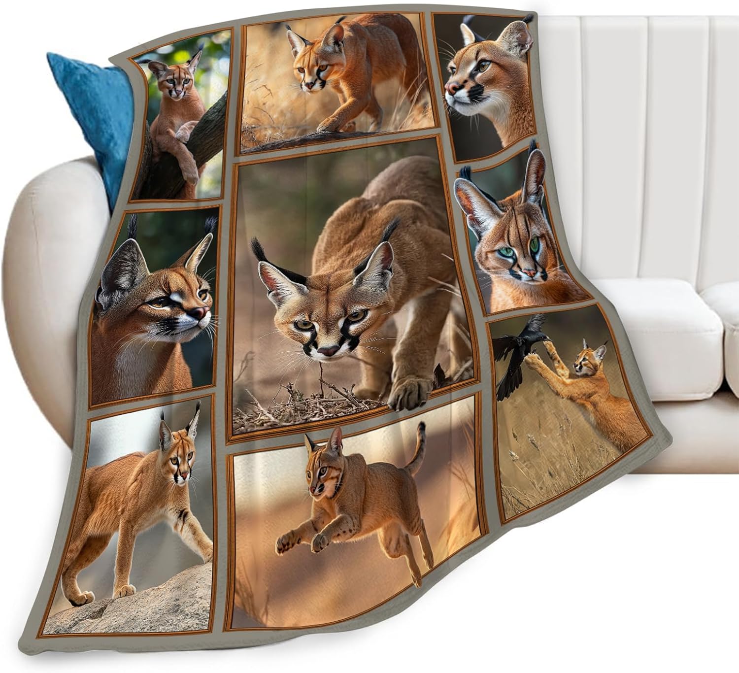 Caracal Blanket African Caracal Animal Lover Throw Blankets Gifts for Girls Boys Kids Soft Cozy Fleece Plush for Couch Sofa Bed 50"x40"