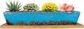 ARTKETTY Succulent Pots, 9.8 Inch Ceramic Succulent Planters with Drainage Small Bonsai Pot with Bamboo Tray, Mini Cactus Flower Planter Pot Shallow Rectangular Window Planters for Indoor Plants