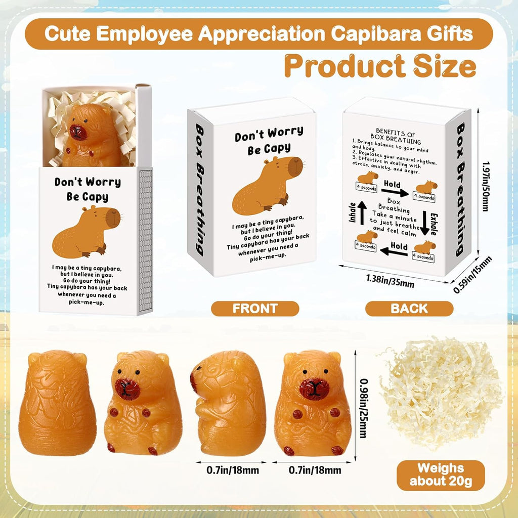 Wettarn 24 Sets Capybara Gifts Positive Stress Balls with Support Gift Boxes Inspirational Party Favors for Employee Coworker Friends Office Stress Relief Toys