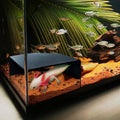 Aquarium Corner Cave Hide Axolotl Cichlid Cave Fish Tank Accessories, Corner Fish Aquarium Cave Hide with Viewing Window, Terrarium/Aquarium Underground Natural Cave