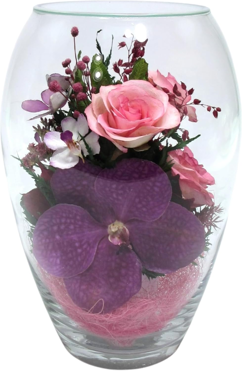 Fiora Flower | Premium Preserved Roses in Glass Vase | Lasts 5 Years | Long-Lasting Real Roses for Christmas, Weddings, Birthdays