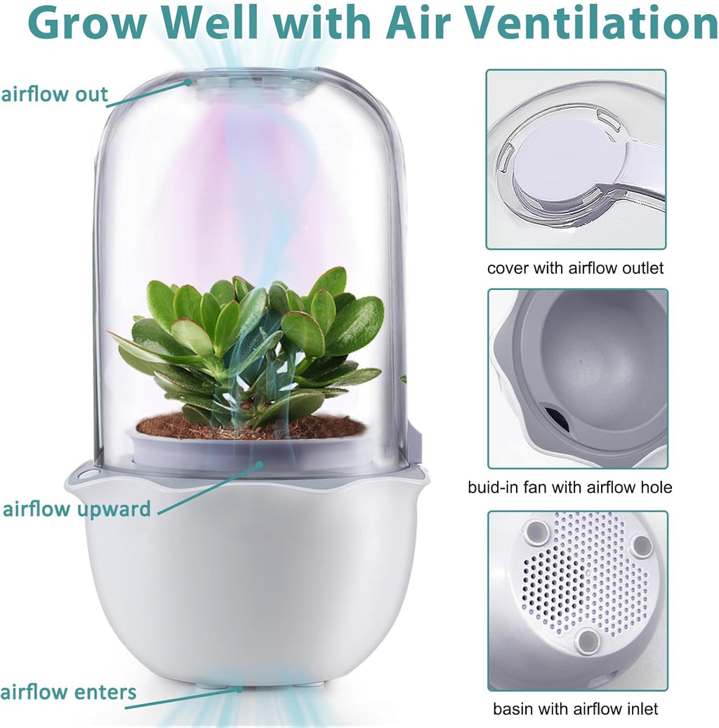Venus Fly Trap Terrarium Pot with Timer Grow Light & Fan, Smart Planter for Succulents Butterwort, Carnivorous Plants Pot, Christmas Birthday Gifts for Women Garden Lover (no Plant)