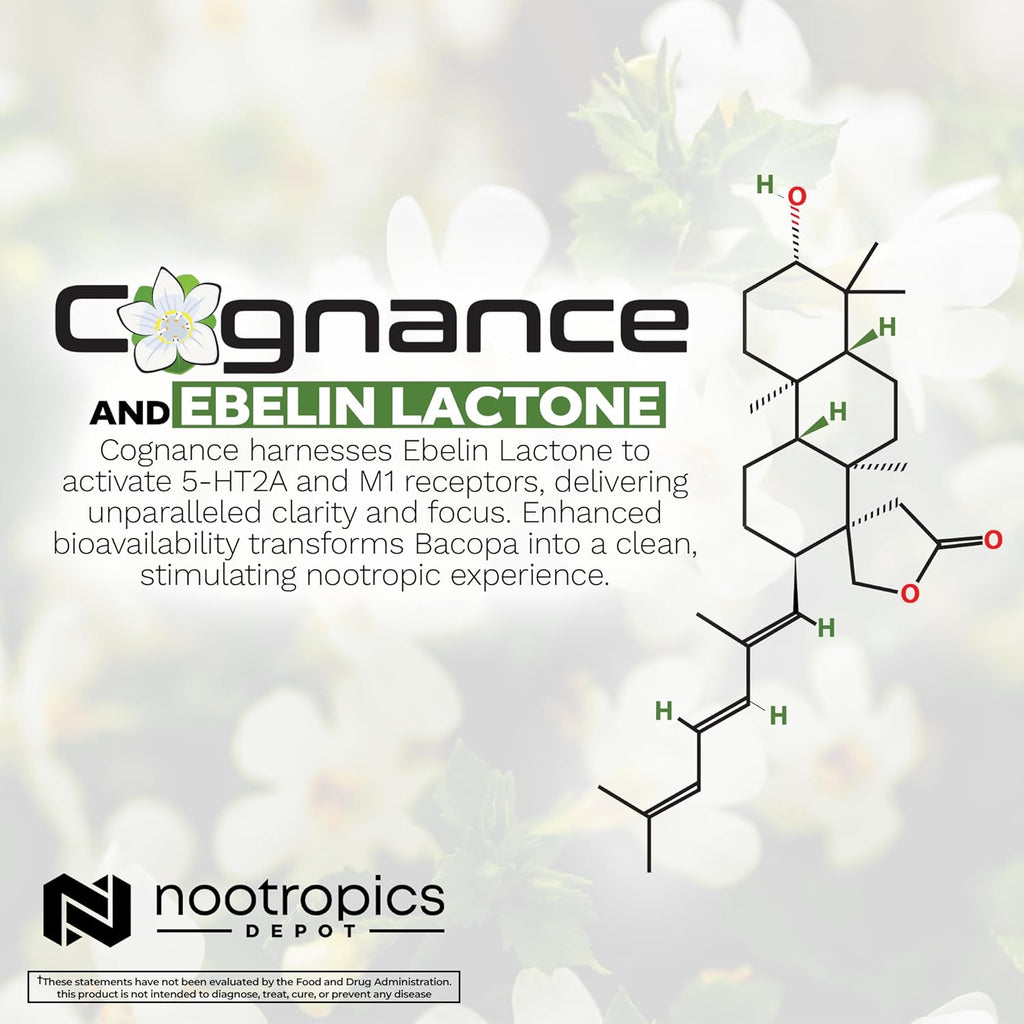 Nootropics Depot Cognance Enhanced Bacopa Capsules | 100mg | 10% Ebelin Lactone | Bacopa monnieri | Mood, Memory, & 5-HT2A Activation, 60 Count (Pack of 1)