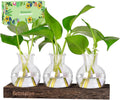 Plant Propagation Station, Plants Terrarium with Wooden Stand Bulb Glass Vase Planter Gift for Plant Lovers Home Office Decor