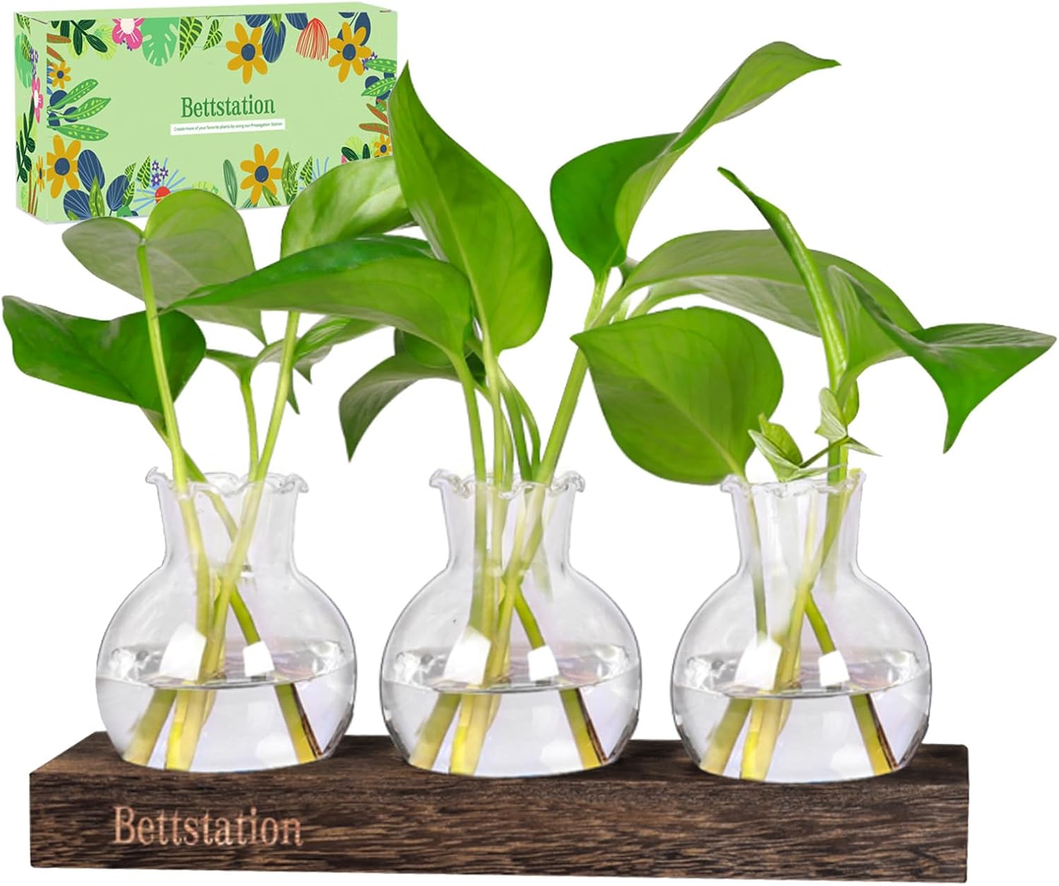 Plant Propagation Station, Plants Terrarium with Wooden Stand Bulb Glass Vase Planter Gift for Plant Lovers Home Office Decor