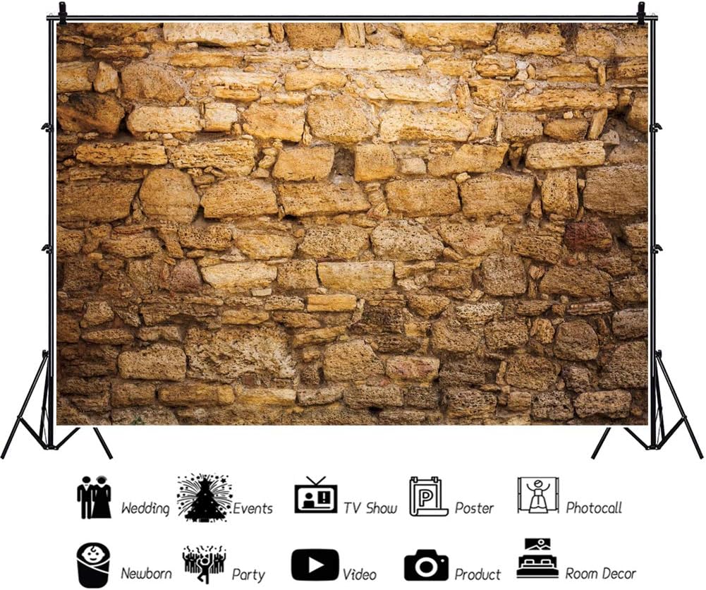 CSFOTO 12x8ft Western Wall Backdrop Ancient Jerusalem Buildings Photo Background Israel Background Jerusalem Wailing Wall Backdrop Church Event Decoration Props