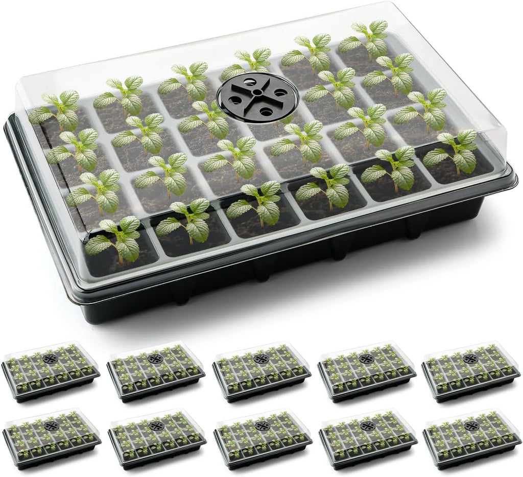 10 Pack XL-Cell Seed Starter Tray, 240 Cells Seedling Trays (2'' Each Cell) with Humidity Dome & Vented Lid, Mini Greenhouse Propagator for Plant Growing, Gardening Supplies