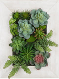 Hanging Wall Artificial Plants Decor Fake Succulent Arrangement with Moss and Rectangle Wooden White Frames Faux Plants Hanging Boho Decor for Farmhouse Living Room Bedroom Home Indoor
