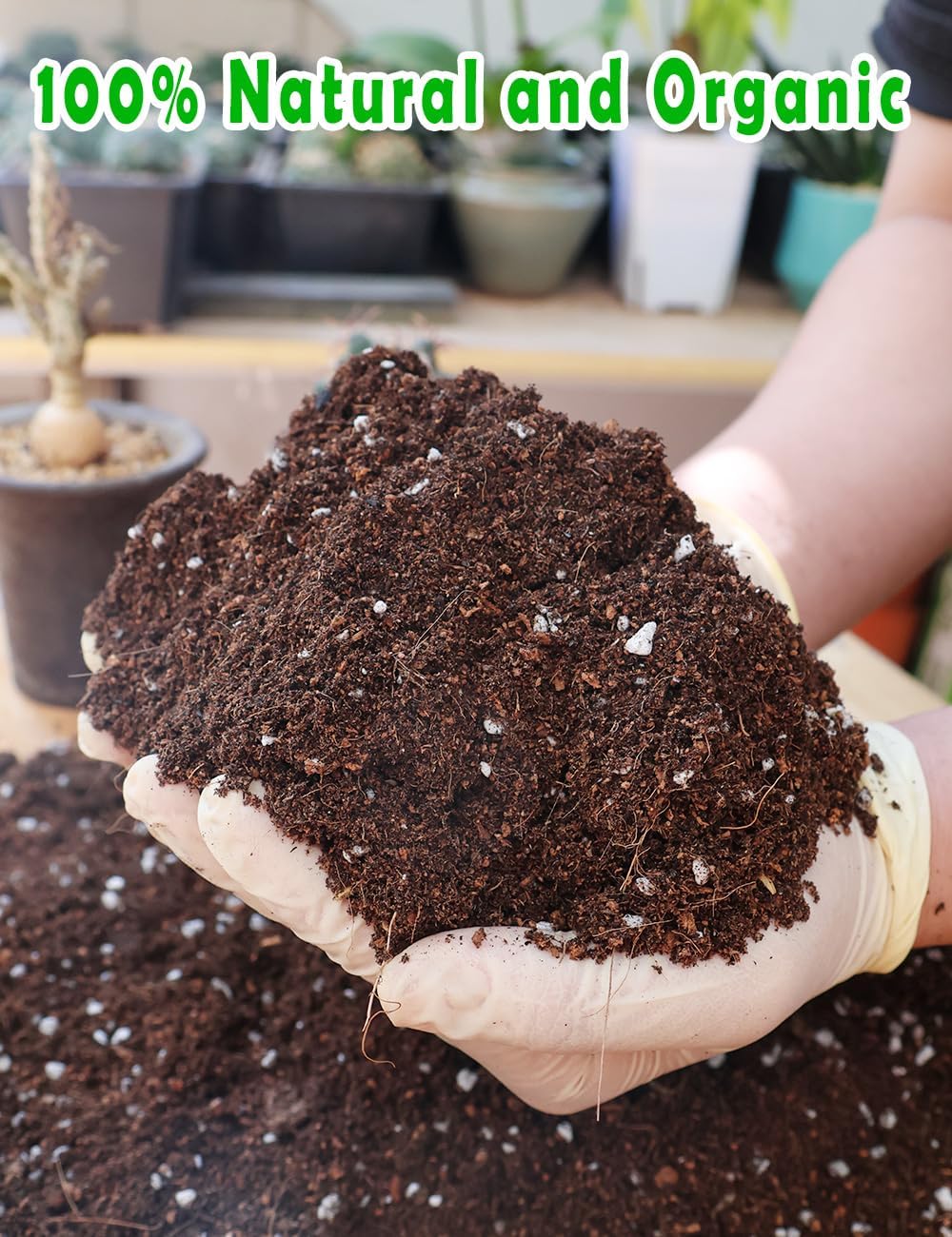 TOYPOPOR Potting Soil for All Indoor Houseplants, Contains Perlite, Peat Moss, Coco Coir and Rice Charcoal, Well Draining Potting Mix Light, Aerated Texture for Healthy Plant Roots and Fast Growth 1qt
