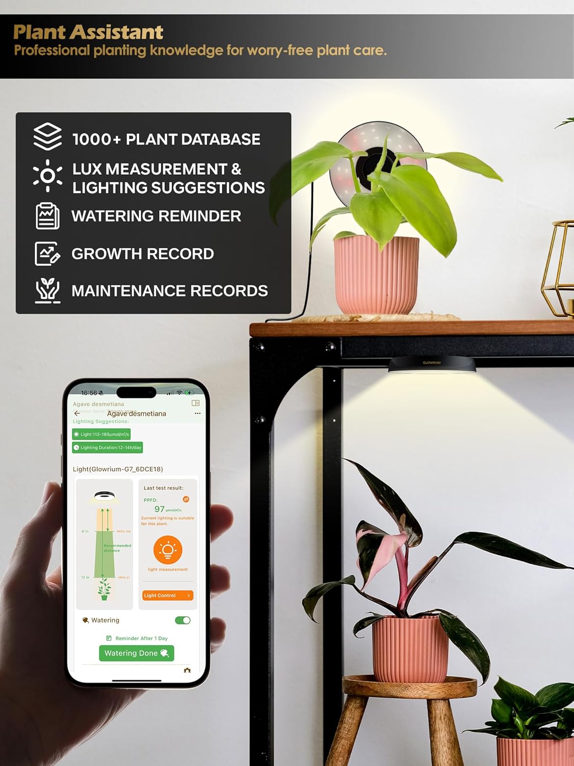 GLOWRIUM Grow Lights for Indoor Plants, 32W Smart Full Spectrum LED Grow Light, Auto Timer and Stepless Dimming,Plant Assistant with Watering Reminder,Modular Design (Black, 4PCS)