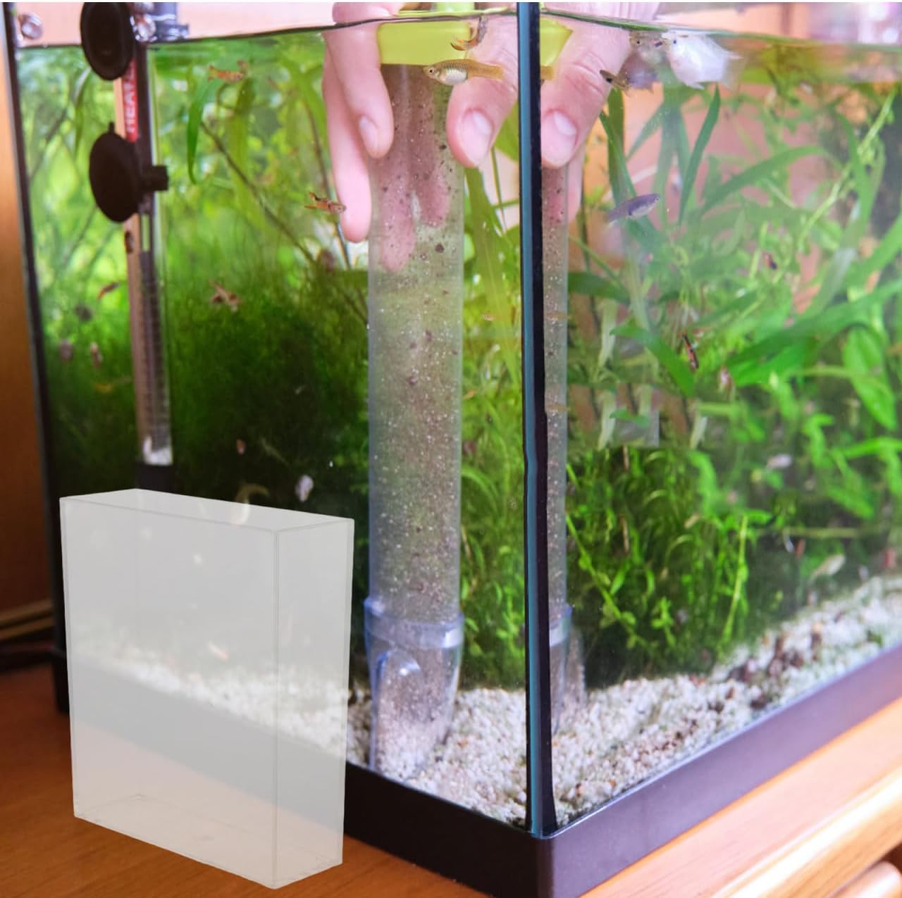 Kisangel Portable Transparent Fish Observation Box Small Lightweight Betta Fish Tank Breeding Container Easy to Use for Aquarium and Desktop Viewing
