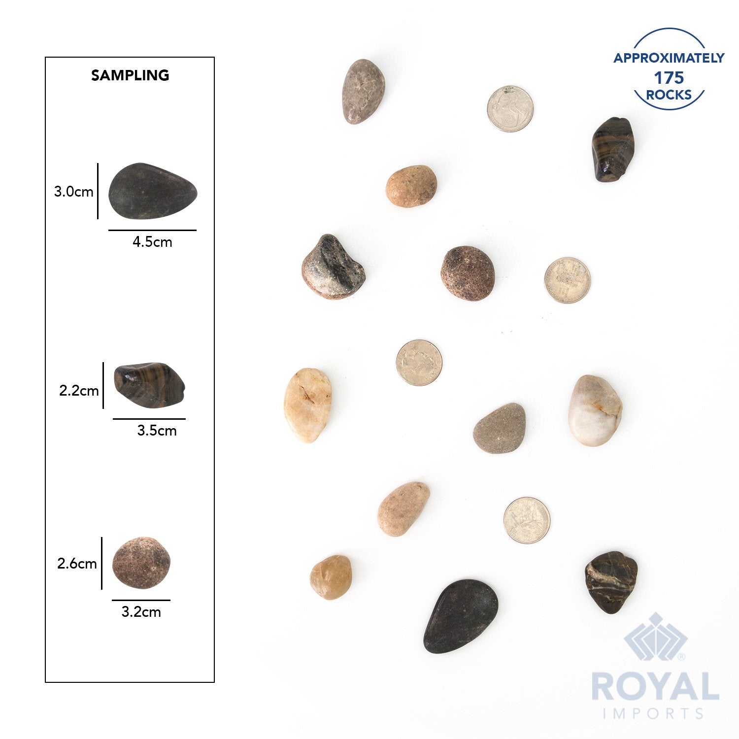 Royal Imports 5LBS River Rocks Decorative Ornamental Pebbles, Garden Landscaping Stones, Gravel Filler for Plants, Vases, Succulents, Home Decor, Aquariums, Crafting, Animal Habitat - Large Natural