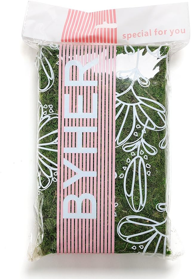 Byher 92926 Preserved Forest Moss, Fresh Green (16OZ)