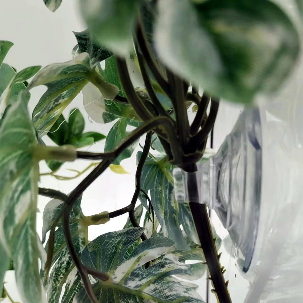 Reptile Plants for Terrarium, Amphibian Habitat Decor Artificial Hanging Plants with Suction Cup, Artificial Plants for Gecko Chameleon Snake Tortoise Tank Accessories. 2-Pack (Monstera)