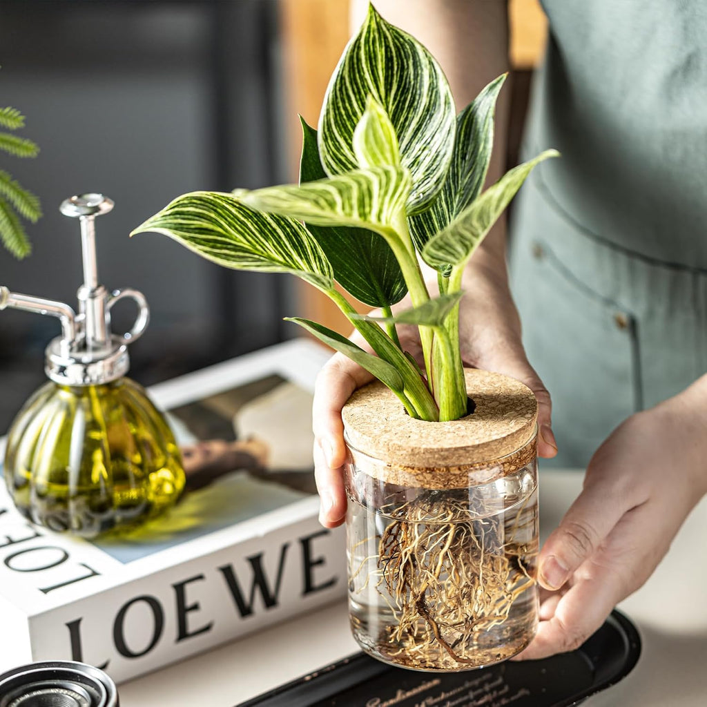 Glass Propagation Stations for Plants -Desktop Flower Vases,Propagation Flower Vases Set – 6 Large & 6 Small for Plant Cuttings，for Living Room, Bedroom Decoration,Home,Office Decor (12)